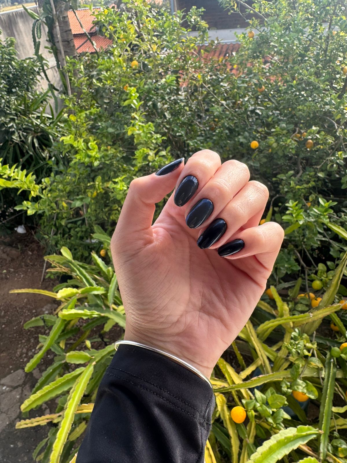 Trabalho 6